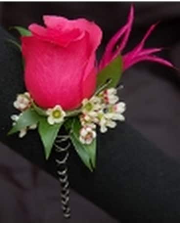 pink single rose with feathers